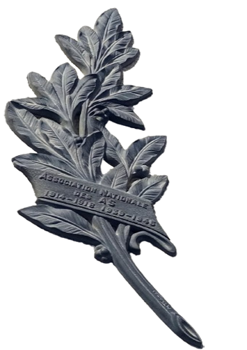 Palme as removebg preview