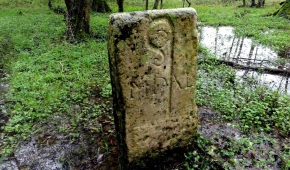 Abbaye de Maizières