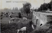 ponts moulins