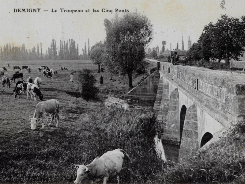 ponts moulins